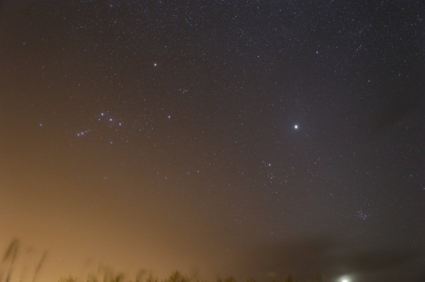Constellation of Orion: Photo by Adam Evans (sky-candy.ca)